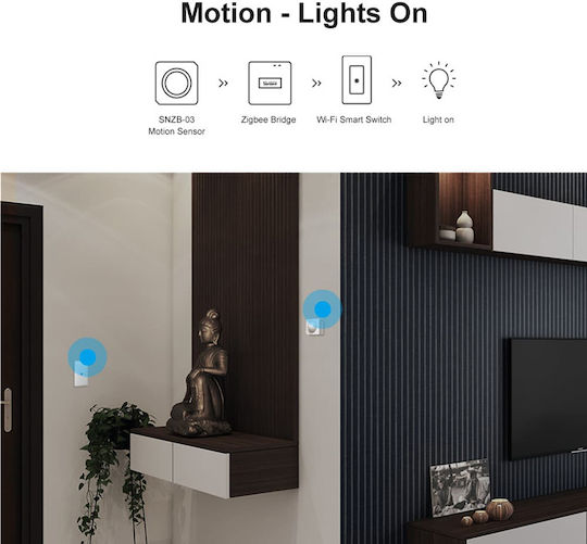 Sonoff ZB Bridge- P Smart Bridge Wi-Fi / Zigbee Συμβατό με Google Home, Alexa & SmartThings