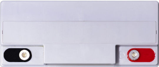 Baterie Agm Vrla 12v 23a Rată Mare 181mm X 76mm X H 167mm M5 Ted Battery Expert Holland Ted003362 2