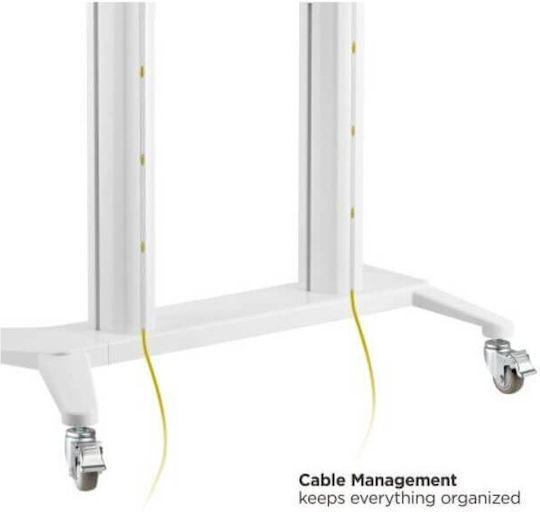 Blackmount BM-T150WHITE Suport TV de perete până la 120" și 140kg Alb