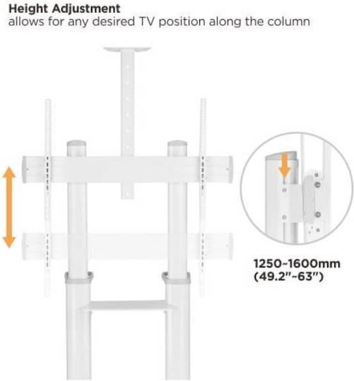 Blackmount BM-T150WHITE Suport TV de perete până la 120" și 140kg Alb