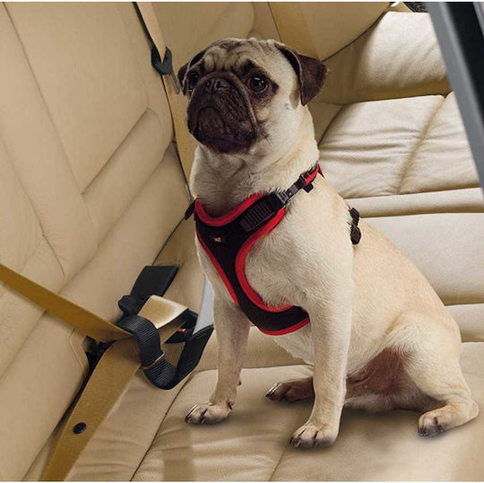 Ferplast Sicherheitsgurt Autozubehör für Hunde 40 mm x L 50 cm