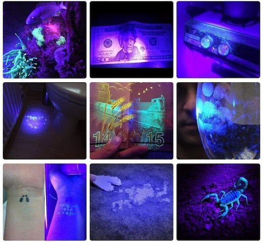 Lanternă LED Lumini de lucru și de sit, Albastru