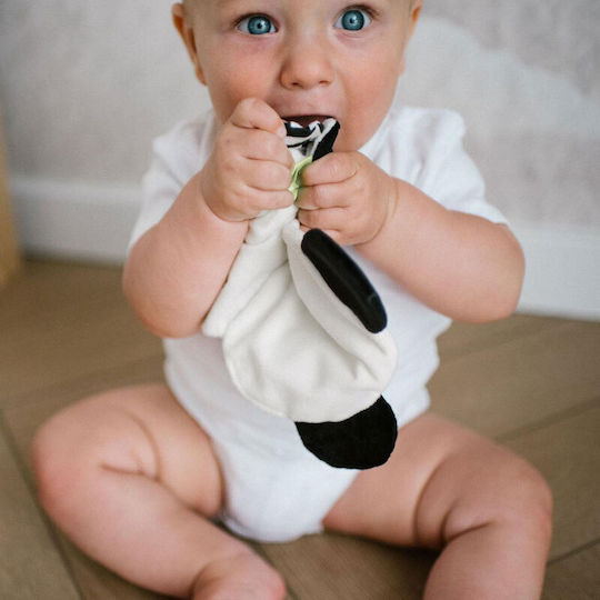 Babyono Βρεφικό Παιχνίδι με Ήχους για Νεογέννητα