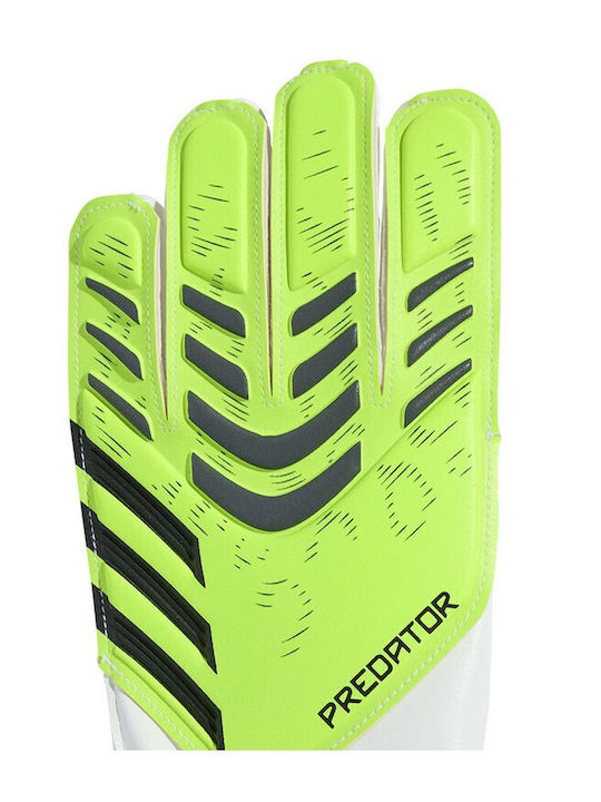 adidas Predator Training Γάντια Τερματοφύλακα Παιδικά Πράσινα