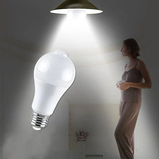 LED Bulb 12W for Socket E27 Cool White