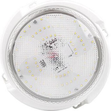 Masterled Solar LED Flutlichter 120W Kaltweiß 5000K mit Fernbedienung