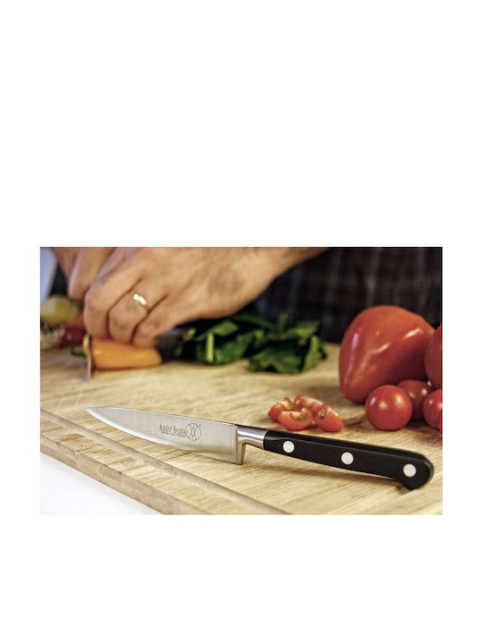 Andre Verdier Knife General Use from Stainless Steel 10cm