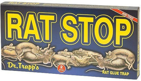 STAC Rat Stop Leimfalle aus Plastik 22x10x1cm 1Stück