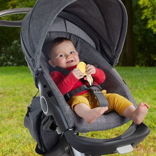 Fisher Price Rassel für 3++ Monate