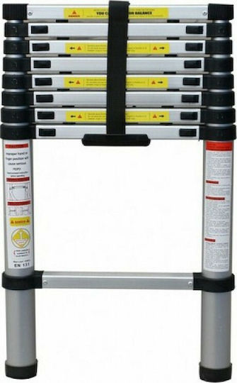 Telescopic Ladder Aluminum 14 of Steps with Maximum Height 4.4m