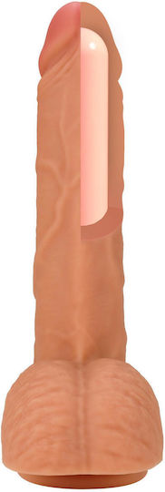 Realistisches Dildo Fleisch 23cm