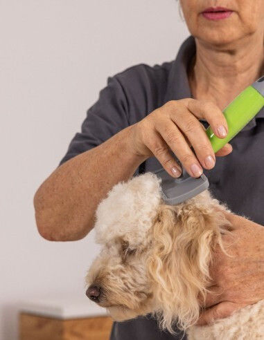 Wahl Professional Perie Mici Câini pentru Îngrijirea Blănii Gri
