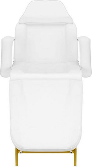 Salon Tech Beauty Chair with Adjustable Height