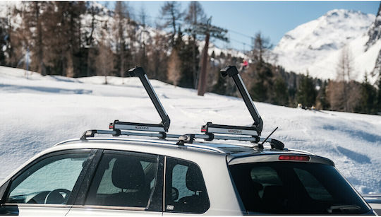 Nordrive Nordic-King Car Ski Mounts Suitable for 6 Ski Pairs or 4 Snowboards