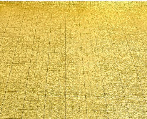 Vevor Πλαστικό Δάπεδο 3mm σε Ρολό Μ1690xΠ18.6εκ.