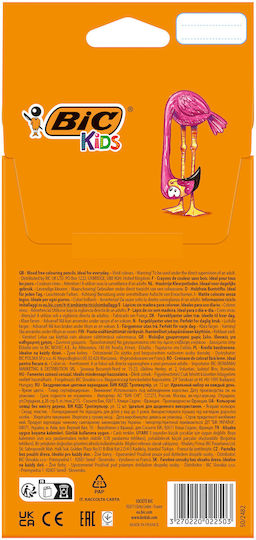 BIC Kids Tropicolors 2 Colored Pencil Set Package of 1 packages