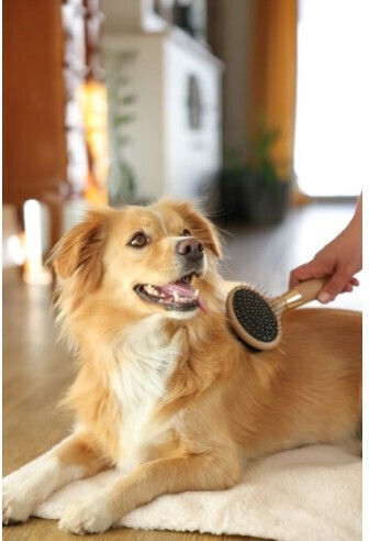 Magic Brush Βούρτσα Σκύλων Διπλής Όψης για Περιποίηση Τριχώματος