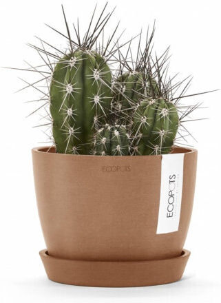 Ecopots Πιάτο Γλάστρας Πλαστικό Πορτοκαλί 15x15εκ. 74.019.16TC