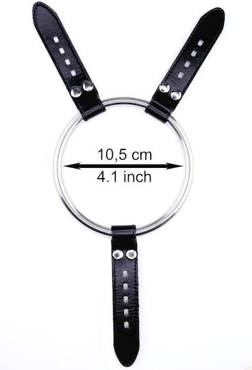 Carmen Rivera High Quality Stainless Steel Ring Xxl Strapon Dildos 10,5 Cm