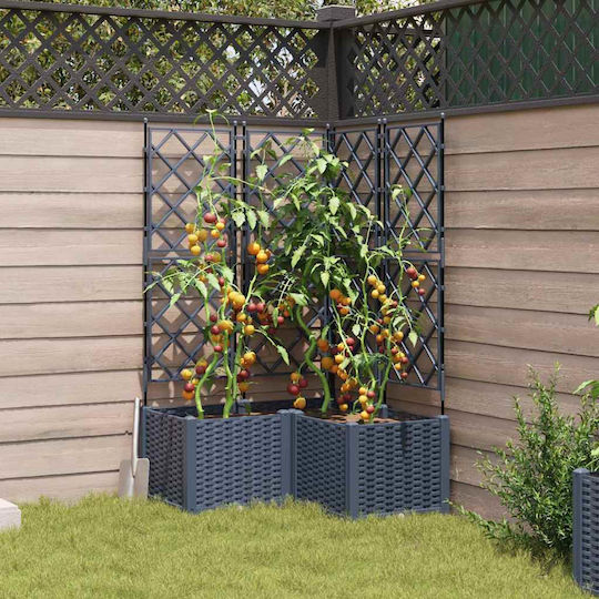 Garden Planter Pergola 3 Pcs Grey 80x80x143 cm