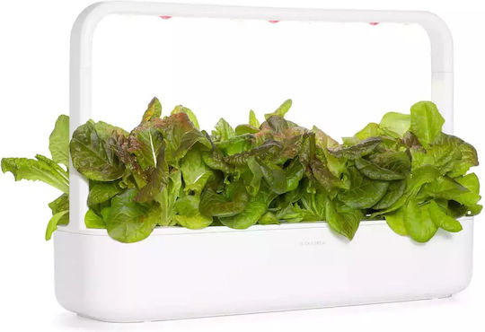 Click & Grow Smart Refill Red Oakleaf Lettuce 3pcs