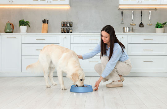Imac Bowl Food Slow Feeder for Dog & Cat 20cm in Pink Color