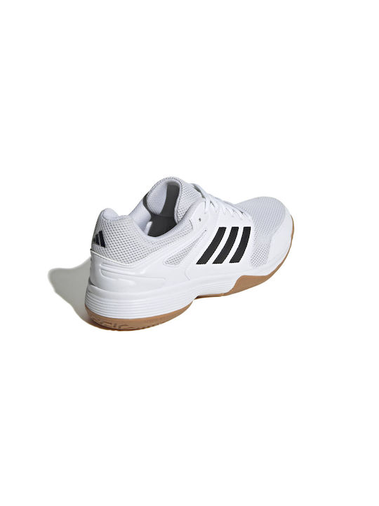 Speedcourt Sport Shoes Volleyball Cloud White / Core Black / Gum
