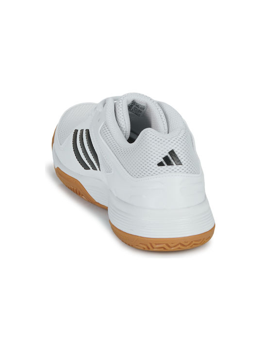 Speedcourt Sport Shoes Volleyball Cloud White / Core Black / Gum