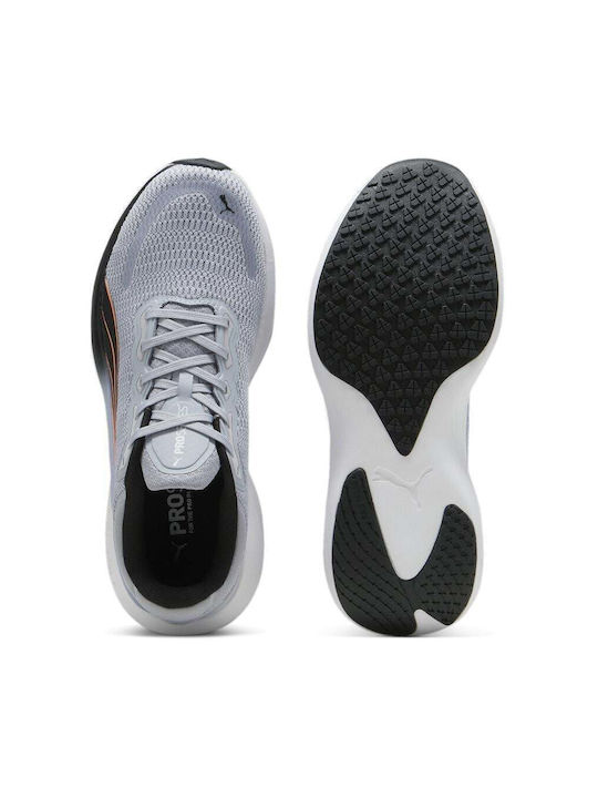 Scend Pro Sport Shoes Running Gray