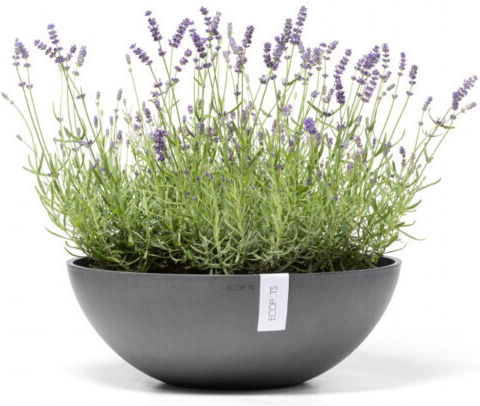 Ecopots Vienna Blumentopf Kunststoff Charcoal Ecopots Vienna Blumentopf Kunststoff Charcoal