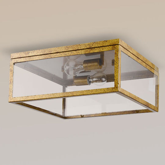Luma Ceiling Light
