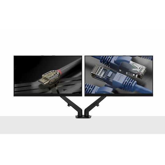 Lindy Schwarz Schreibtisch Halterung für 2 Monitore mit Arm