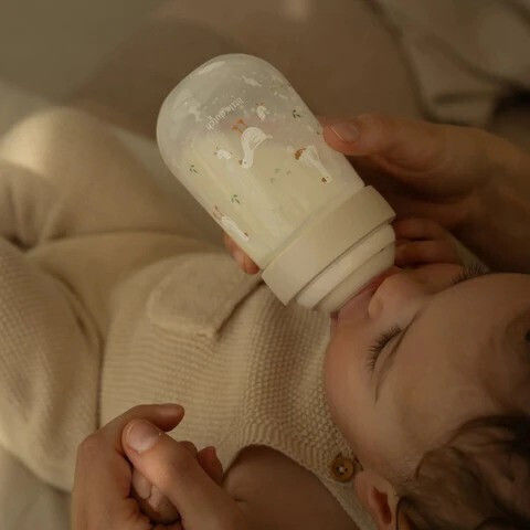 Little Dutch Plastic Baby Bottle Mio 240 Ml Little Goose Anti-Colic with Silicone Nipple for 0+, 0+ m, months Transparent 240ml
