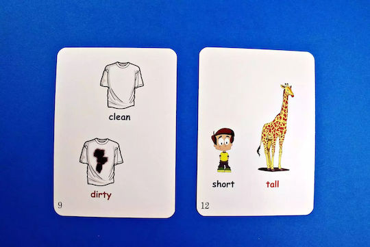 Fun Card. English. Xxl My First 600 English Words