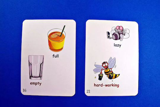 Fun Card. English. Xxl My First 600 English Words