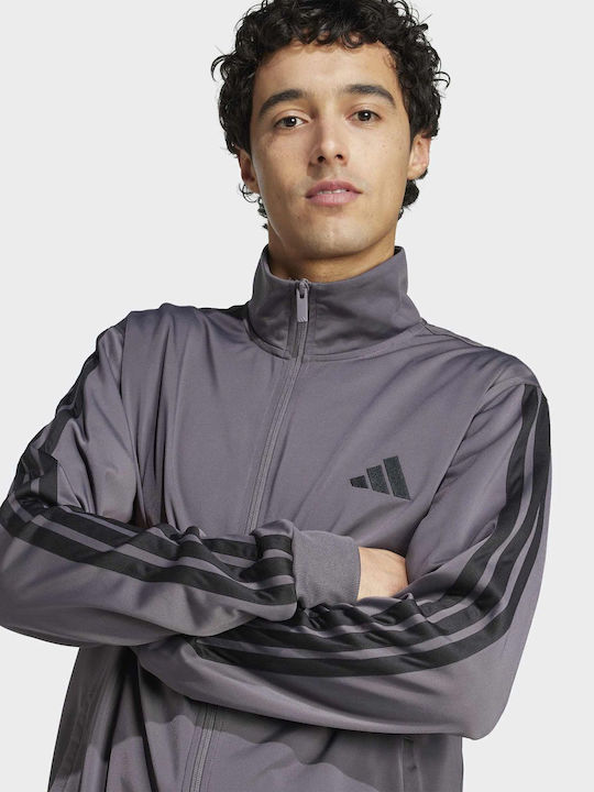Training Tracksuit Glossy with Elastic Gray