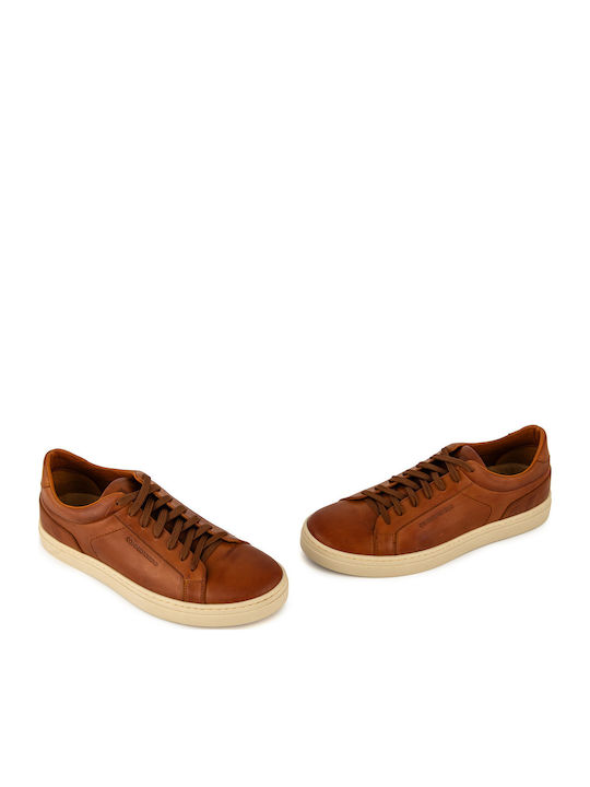Sneakers Tabac Brown