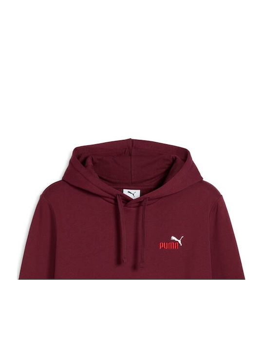 Sweatshirt with Hood Burgundy