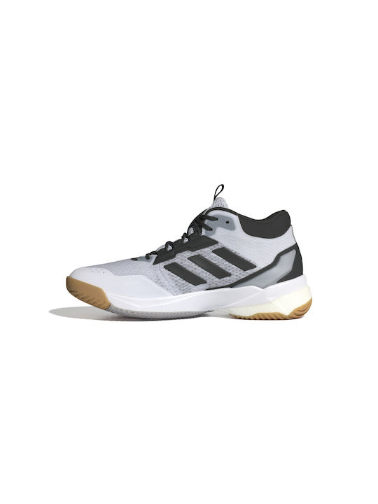 Crazyflight 5 Mid Sport Shoes Volleyball White / Black