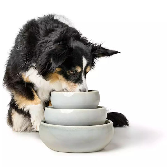 Hunter Ceramic Bowl Food & Water for Dog & Cat with Base 310ml