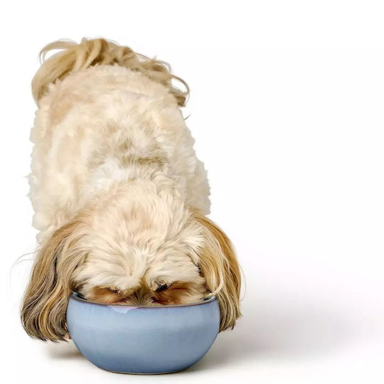 Hunter Ceramic Bowl Food & Water for Dog & Cat with Base 310ml