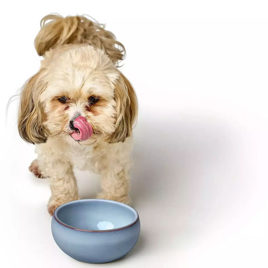 Hunter Ceramic Bowl Food & Water for Dog & Cat with Base 550ml
