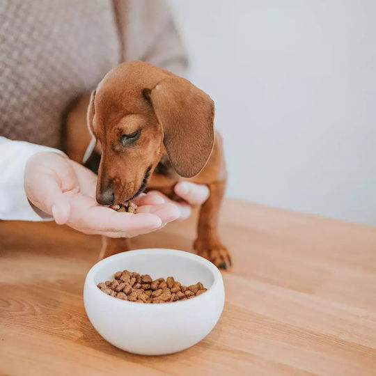 Hunter Ceramic Bowl Food & Water for Dog & Cat with Base 550ml