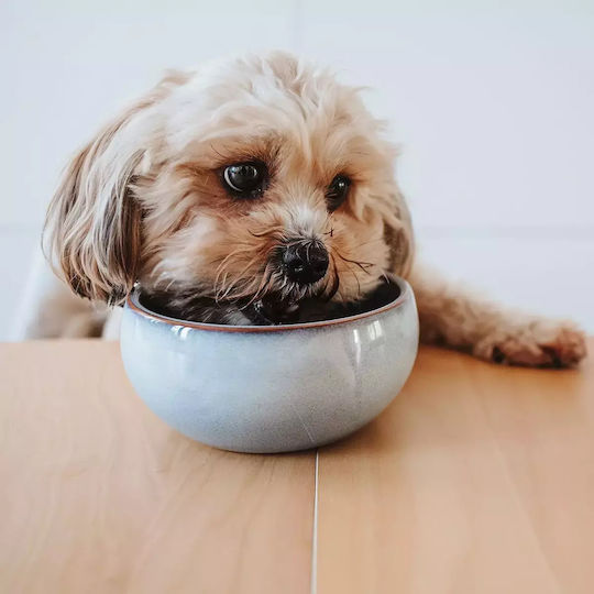 Hunter Ceramic Bowl Food & Water for Dog & Cat with Base 310ml