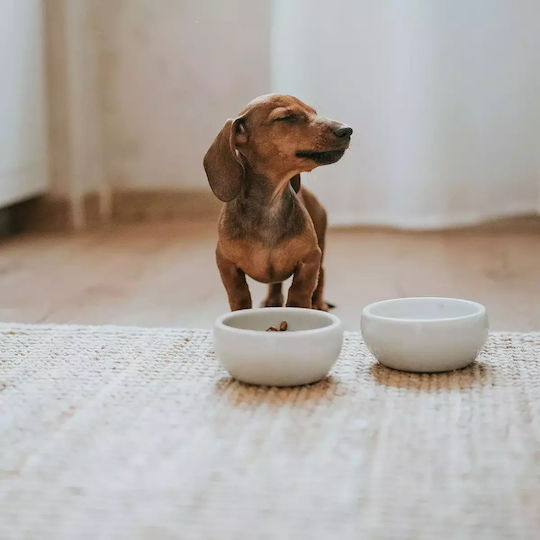 Hunter Ceramic Bowl Food & Water for Dog & Cat with Base 310ml