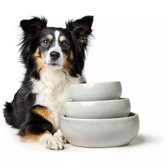 Hunter Ceramic Bowl Food & Water for Dog & Cat with Base 900ml
