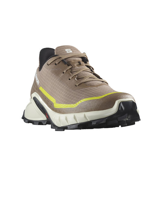 Salomon Salomon