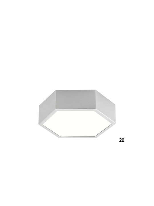 Luma Ceiling Light LED Luma Ceiling Light LED