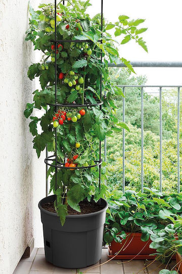 Tomato Grower Pot, Y31.5x∅39.2cm Tomato Grower Pot, Y31.5x∅39.2cm