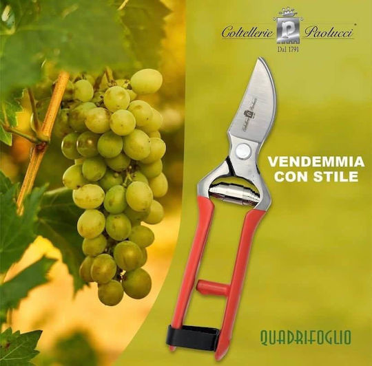 Paolucci Coltellerie Baumschere Länge 21cm